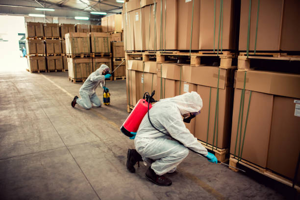 Pest Prevention Services in Mississippi State, MS