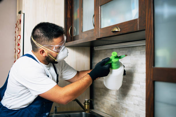 Best Affordable Pest Control Services  in Mississippi State, MS