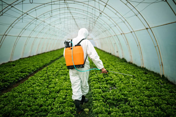 Trusted Mississippi State, MS Pest Control Experts