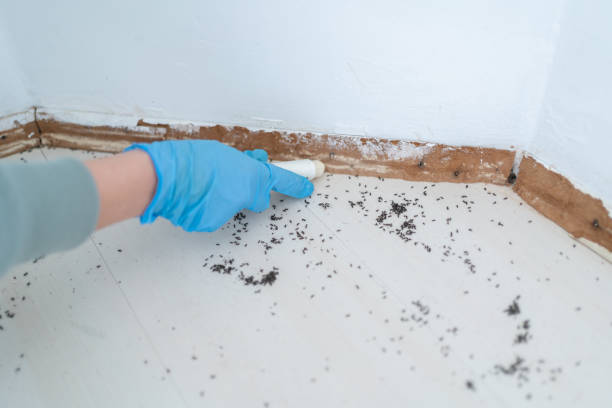 Best Pest Control Treatment  in Mississippi State, MS